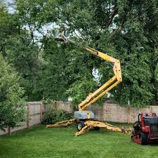 Best Tree Maintenance Programs  in Uniontown, PA